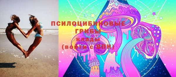 spice Алзамай