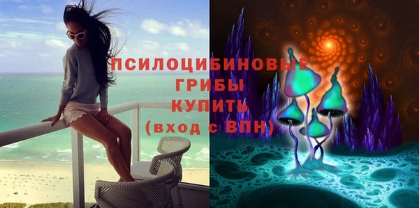 дурь Алексин