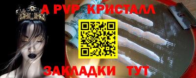 крисы Пенза