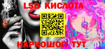 крисы Пенза