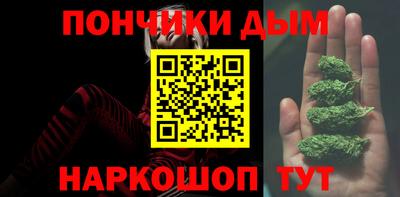 крисы Пенза