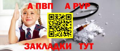 крисы Пенза