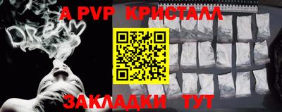 крисы Пенза